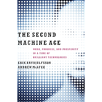 The Second Machine Age: Work, Progress, and Prosperity in a Time of Brilliant Technologies