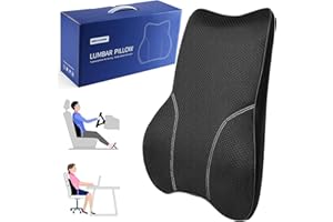 MEIXUNR Soft Lumbar Support Pillow for Office Chair and Car Seat, Back Support Pillow for Car,Back Cushion for Pain Relief Improve Posture (Mesh-Black)