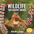 Comedy Wildlife 2020 Wall Calendar