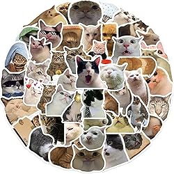 Cat Stickers,Funny Cat Meme, Kawaii for