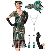 MTITE 1920s Dresses for Women, Great Gatsby Dresses Roaring 20s for women, Sheer Beaded Sleeves Costume with accessories