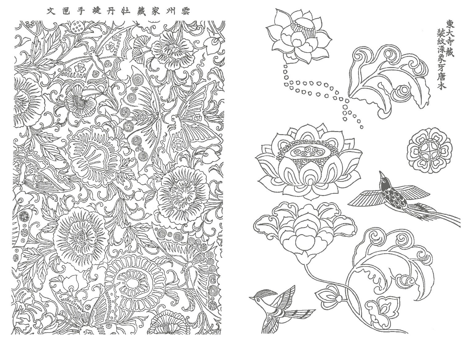 Otona No Nurie Japan Adult Coloring Book Narumikata Japanese Traditional Pattern Editors At Transworld Japan Inc 9784862561916 Amazon Com Books