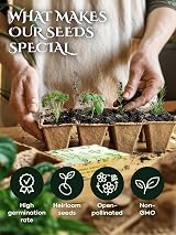 Herbal Age Grow Your Own Tomatoes Seeds Kit 14 Varieties 480+ Seeds view 5