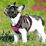 Eagloo Small Dog Harness Adjustable Front Clip No Pull Reflective Rose Red S view 9