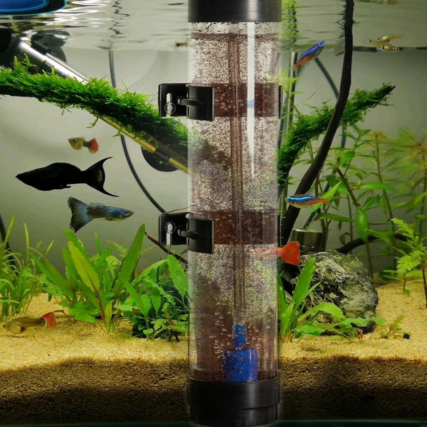 Liucogxi Brine Shrimp Egg Incubator Kit Hatchery Artemia Eggs Practical Safe Plastic Fish Tank Hatch Tool For Aquarium Breeding Tanks Fish Aquatic Pets Limited Edition Www Klevering Com