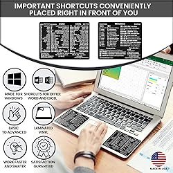 SYNERLOGIC Windows + Word/Excel (for Windows) Quick