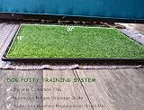 PICK FOR LIFE Puppy Dog Litter Tray with 2 Grass Pads 40.6x50.7cm view 5
