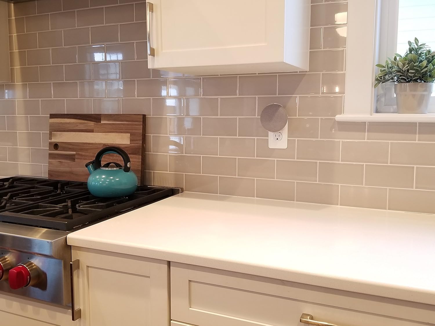 dot genie google home mini backpack