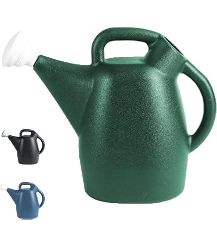 Amazon.com: Root & Vessel 30413 Deluxe 2-Gallon Watering Can