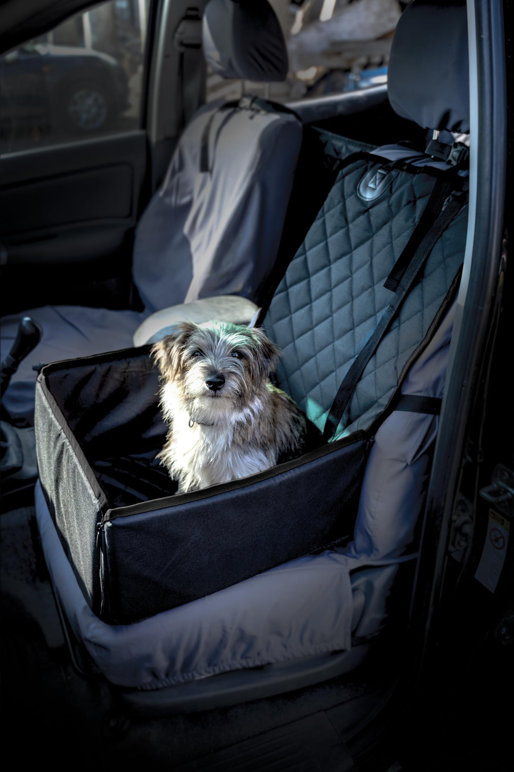 Maypole Single Seat Pet Protector for Cars, SUVs & Vans,
