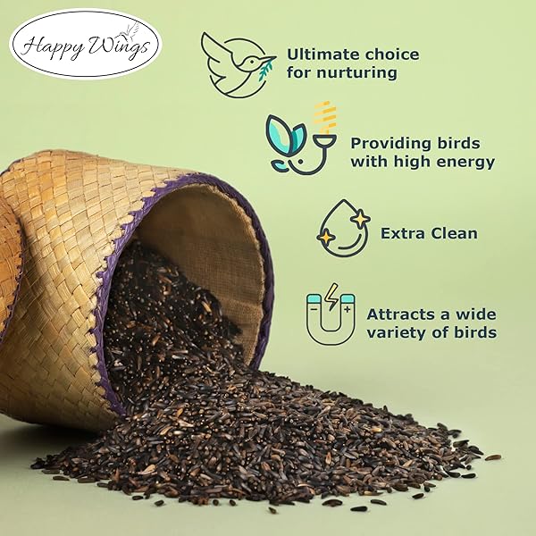 HAPPY WINGS NYJER THISTLE SEEDS FOR WILD BIRDS 15 LBS NO GROW PREMIUM BIRD SEED ATTRACTS FINCHES, GOLDFINCHES, IDEAL FOR YEAR-ROUND FEEDING HIGH IN PROTEIN AND ENERGY.