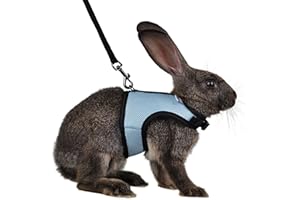 Niteangel Adjustable Soft Harness with Elastic Leash for Rabbits (M, Blue)