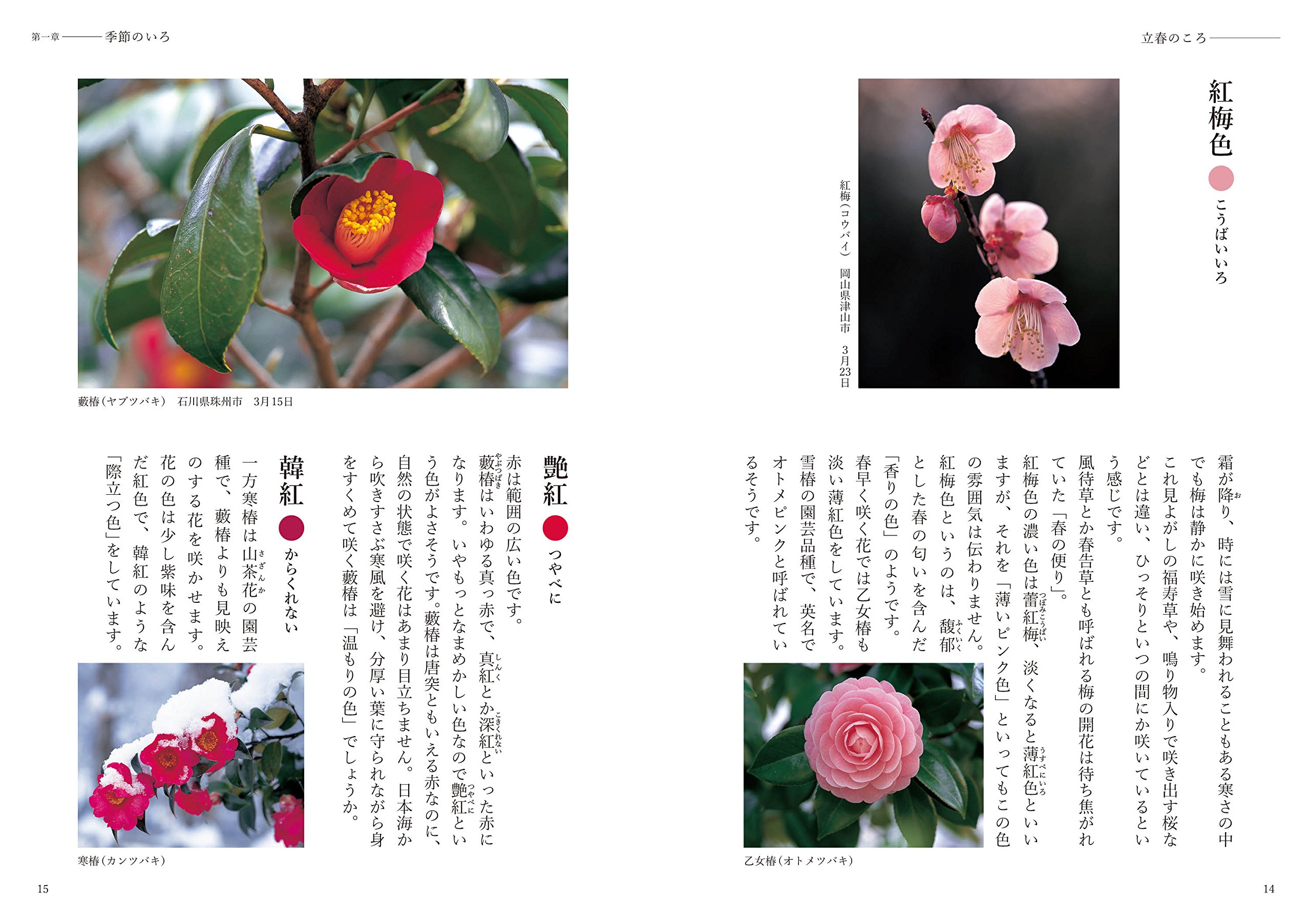 いろの風景 花と木 新装改訂版 Amazon Com Books