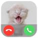 Tiny Cat Call Prank