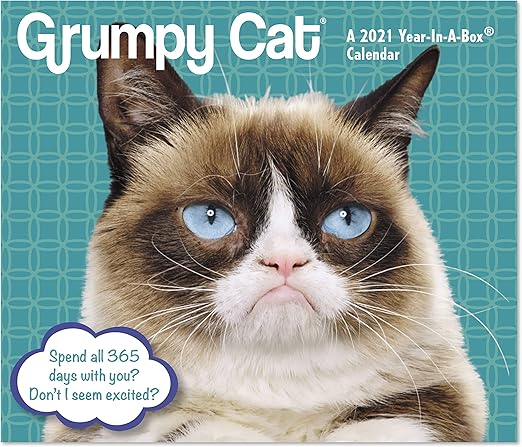 Grumpy Cat Calendar 2022 January July Calendar 2022