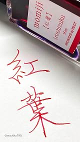 PILOT Iroshizuku Ink Cartridges Red Talla Única view 3