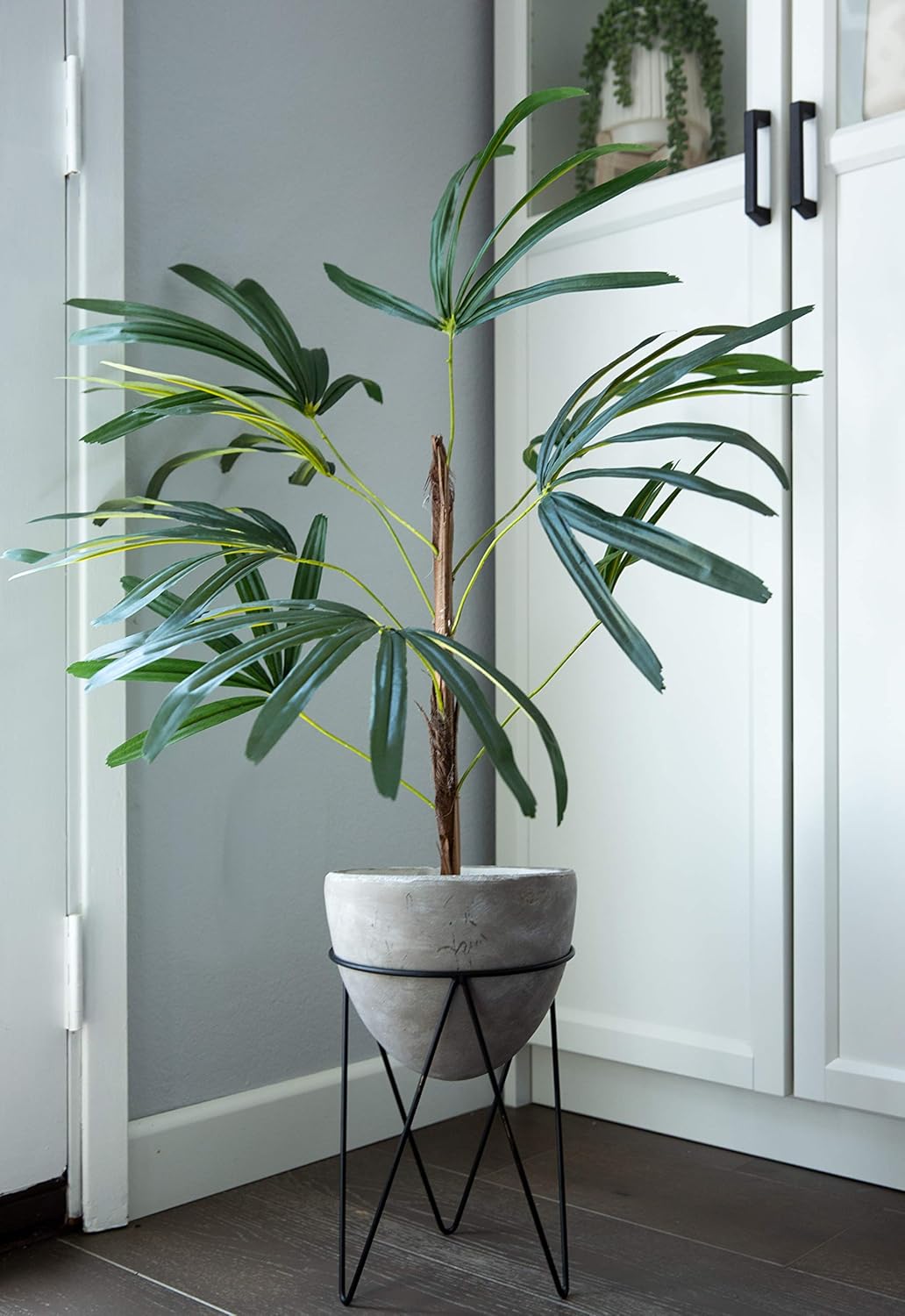 artificial plants unlimited competitor on Amazon Com Flora Bunda Artificial Plant Tree 40 Tall Artificial Switch Cane Palm In 8 Inch Cement Planter On Metal Stand Grey Home Kitchen
