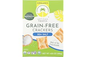 ARTISAN TROPIC Organic Sea Salt Crackers, 4.25 OZ