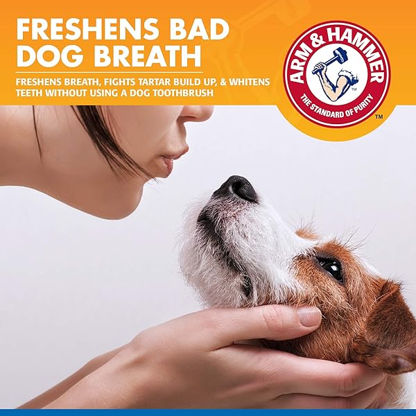 ARM & HAMMER TARTAR CONTROL DENTAL SPRAY FOR DOGS, MINT FLAVOR BREATH FRESHENER, BRUSHLESS TEETH CLEANING ORAL CARE WITH BAKING SODA, HELPS REDUCE PLAQUE AND TARTAR BUILDUP, 4 FL OZ