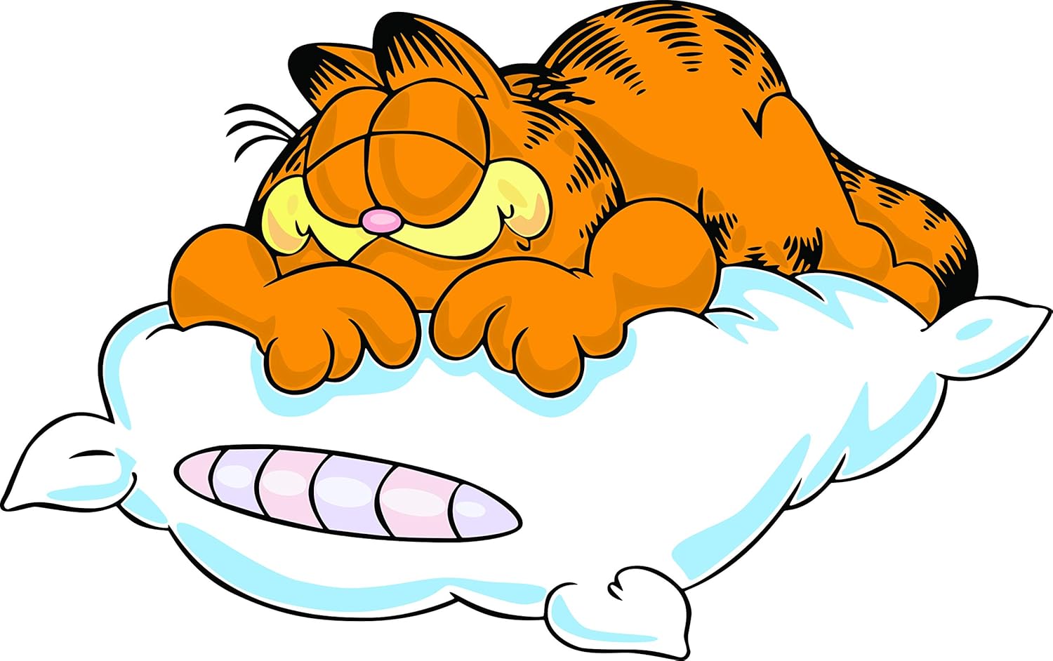 Amazon Com Garfield On Pillow Cartoon Cartoons Tv Show Character