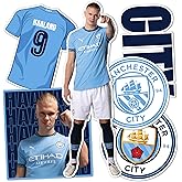 Desert Cactus Manchester City Sticker Man City Player MCFC Sheet Vinyl Football Soccer Premier League Decal Laptop Water Bottle Car Scrapbook (Type P2 Erling Haaland)