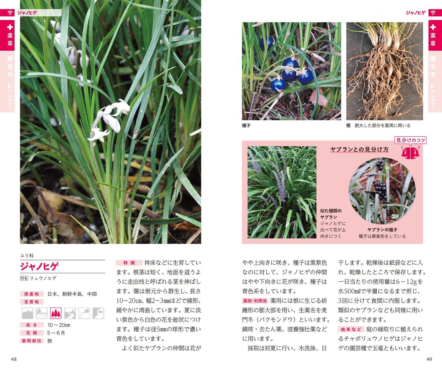 薬草 毒草を見分ける図鑑 役立つ薬草と危険な毒草 アレルギー植物 100種類の見分けのコツ 進 磯田 本 通販 Amazon