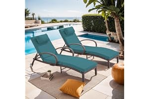 Suvivityse Outdoor Lounge Chairs Set of 2,Adjustable 5-Position Outdoor Chaise Lounge with Armrests & Wheels for Poolside, Backyard, Deck