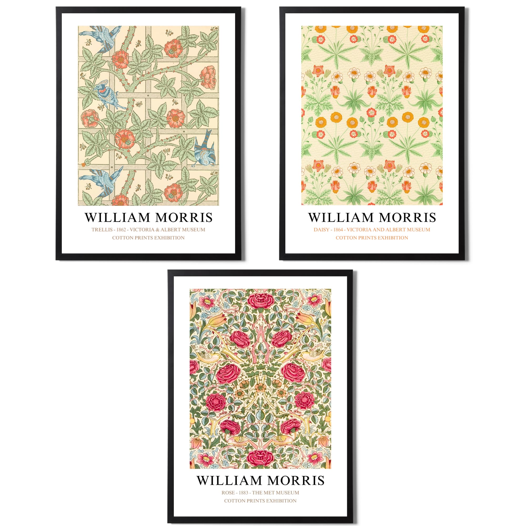 State Media Vision William Morris Set of 3 Art Prints - Trellis, Rose, Daisy - Famous Artist Pictures Available in a Variety of Sizes (Set 6, A3 Print Only)