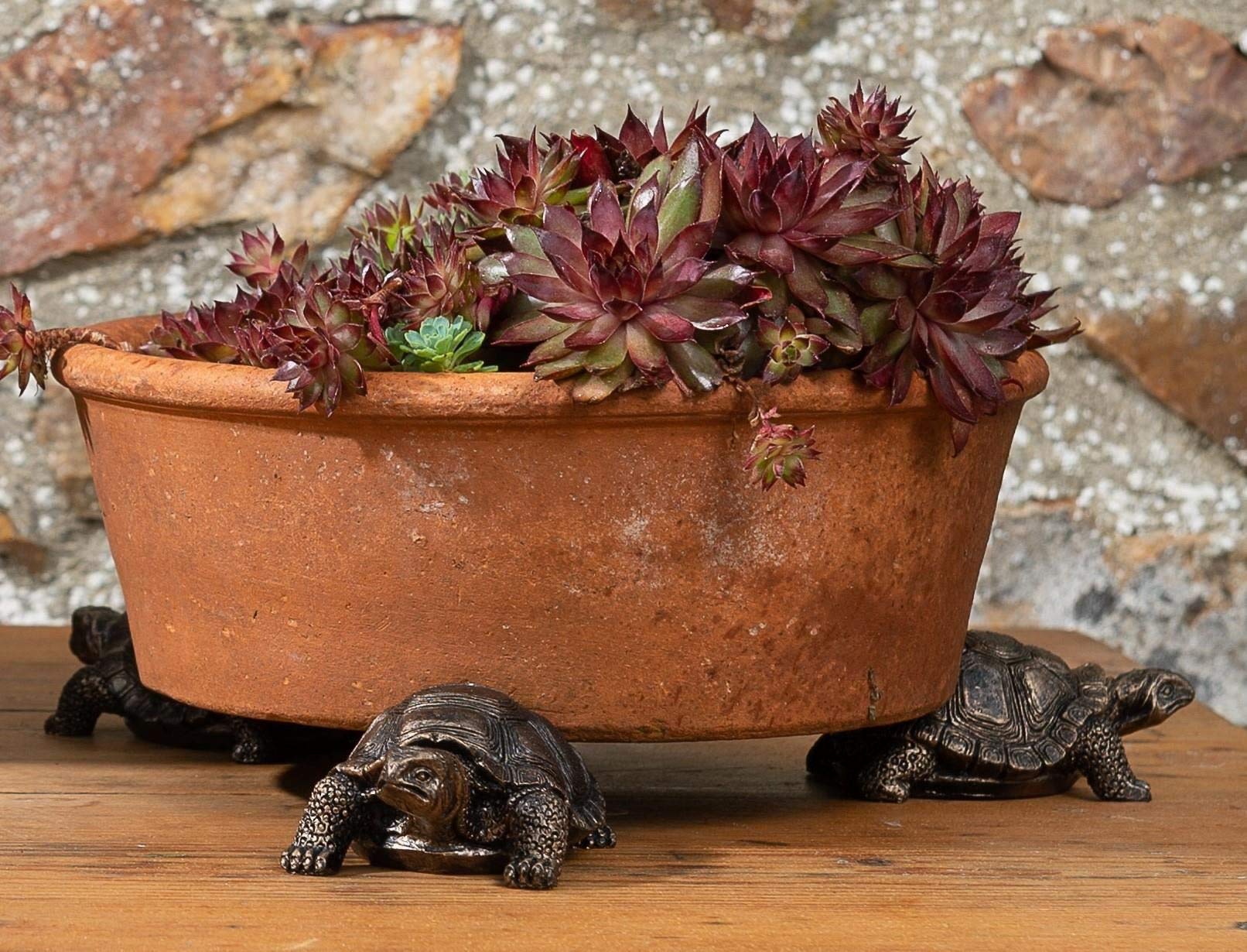 Potty Feet Tortoise Figures Plant Pot Feet Planter Riser - Pot Support Feet- 3pcs