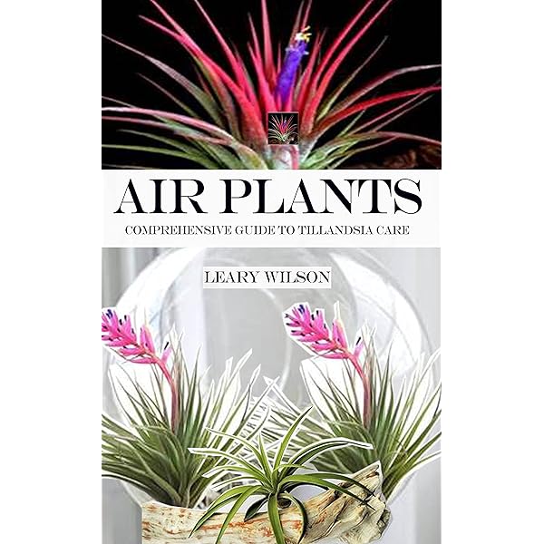 Tillandsia Handbook
