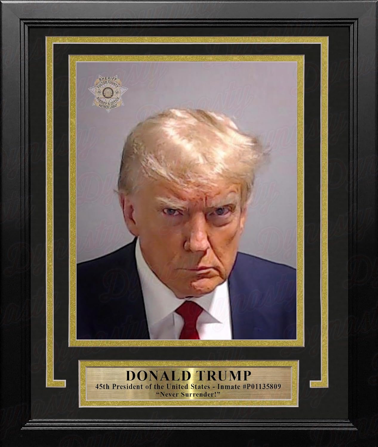 Photographs - Donald Trump 45th President of the United States 8x10 Framed and Matted Fulton County Mugshot Photo