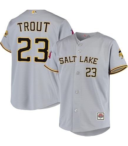 Amazon.com: Outerstuff Salt Lake Bees Gray Kids Youth 8-20 Primary