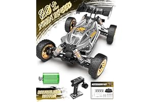 RIAARIO 1:14 RTR Brushless Fast RC Cars for Adults, Max 63mph Hobby RC Truck, 4X4 Remote Control Car for Boys with Carbon Fiber Chassis & Metal Gear, Oil Filled Shocks Electric Vehicle Buggy for Kids