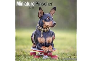 Miniature Pinscher Calendar 2025 | Square Dog Breed Wall Calendar - 16 Month