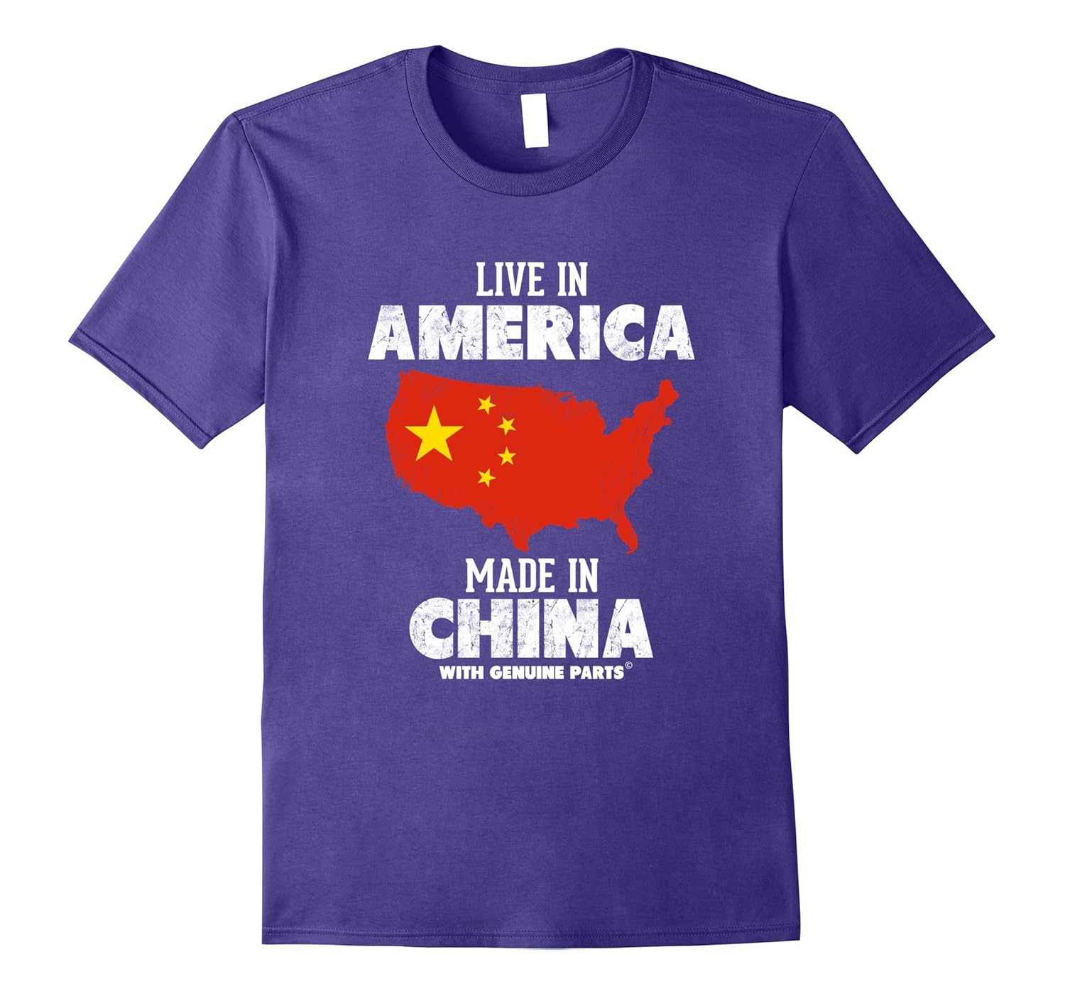 Live in America, Made in China! Chinese Pride T-Shirt-ANZ