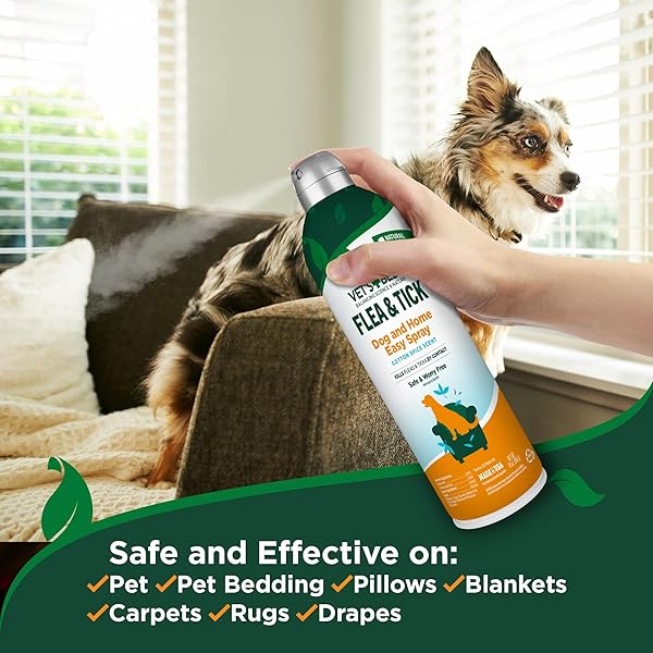 VET’S BEST NATURAL FLEA AND TICK EASY SPRAY FOR DOGS – COTTON SPICE SCENT – NATURAL FLEA & TICK PREVENTION – KILLS PESTS ON CONTACT – PLANT-BASED FORMULA – MADE IN USA – 14 OZ
