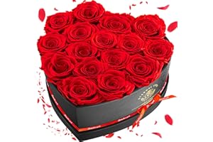 Impouo 16-Piece Preserved Rose Birthday Gifts for Women, Eternal Rose Preserved Flowers for Delivery Prime Mothers' Day, Valentine's Day, Christmas, Birthday - Red Roses