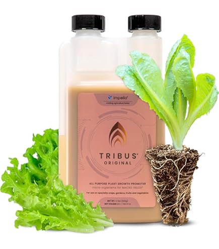 Amazon.com : House & Garden HGC749608 Roots Excelurator Gold