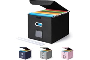 CADONO File Organizer Box with Lid, Large Hanging File Folder Organizer with Plastic Slide, Collapsible Portable Filing Storage Boxes for Office/Decor/Home (Black, 14.9 x 12.59 x 10.8 inch)