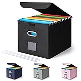 CADONO File Organizer Box with Lid, Large Hanging