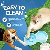 Fur & Bone Double Slow Feeder Raised Dog Bowl Stainless Steel Dual Bowl Set Blue view 7