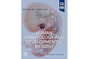 kindle best category lists