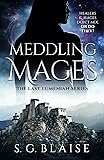 Meddling Mages: Sci Fi Fantasy Adventure of Glenna