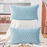 MADIZZ Set of 2 Super Soft Velvet Decorative Throw Pillow Covers 12x20 inch Light Blue Rectangular with Texture Luxury Style Cushion Case Pillow Shell for Sofa Bedroom