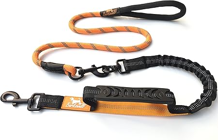 dog leads amazon uk
