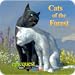 Cats of the Forest