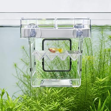 amazon fish breeder box New Releases: The best-selling new & future releases in Breeding Tanks Size:6 in Lets Try Out These Safely separates new Phantom Lures