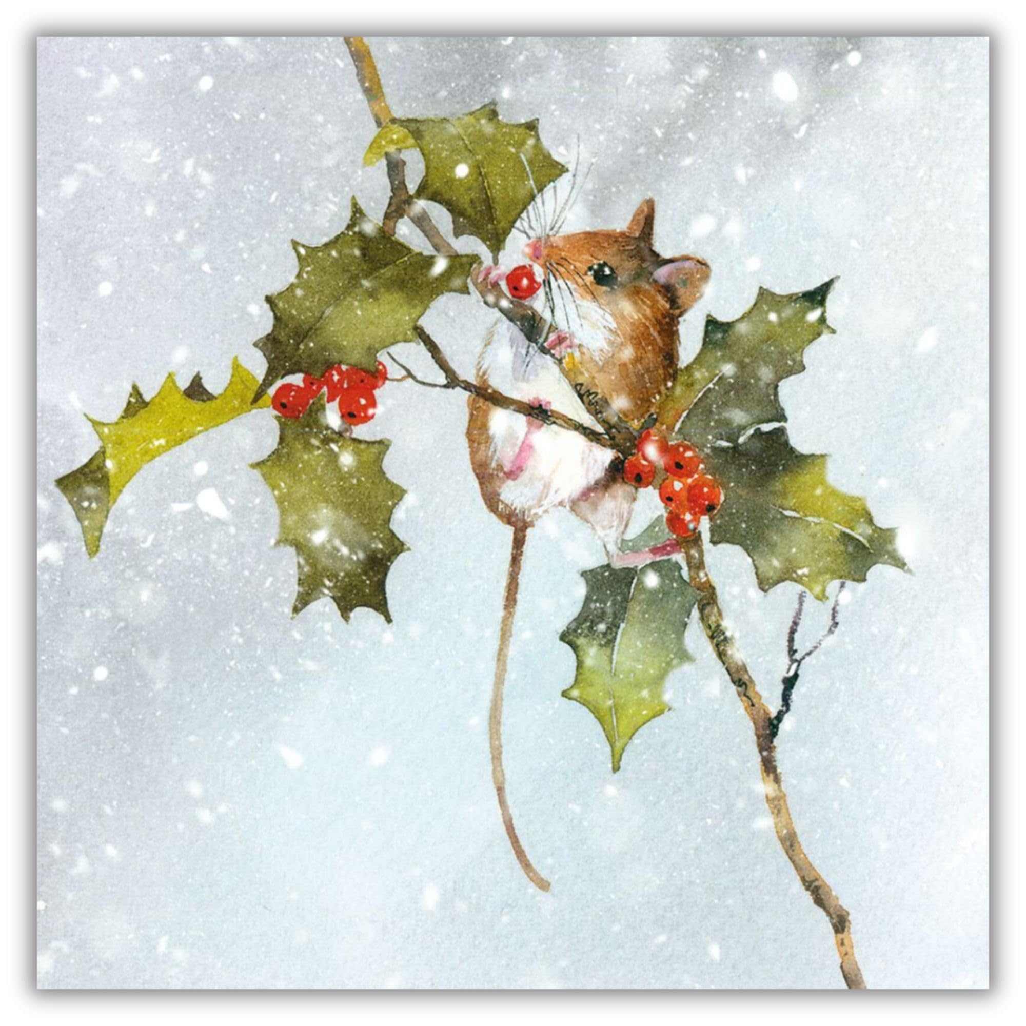 Museums & Galleries Pack of 8 Artistic Charity Christmas Cards - Holly Feast - Lovely Illustration of a Winter Scene by Rachel McNaughton - 8 Cards of 1 Design