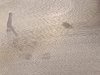 Review Image by Anne Smythe