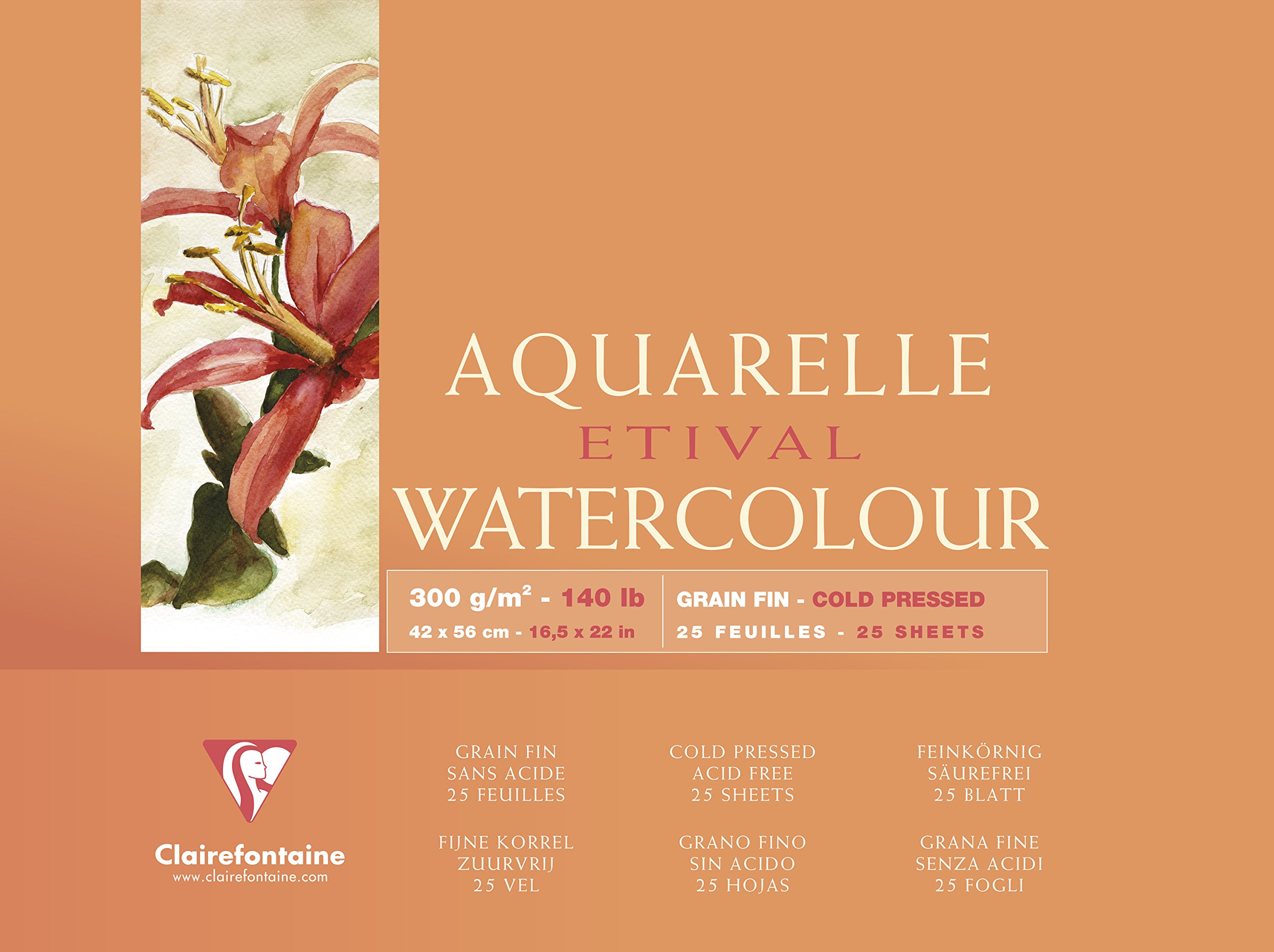 Clairefontaine - Ref 96474C - Etival Cold Pressed Glued Watercolour Painting & Drawing Pad (10 Sheets of Paper) - 42 x 56cm - 300gsm Cellulose Art Paper — image 1
